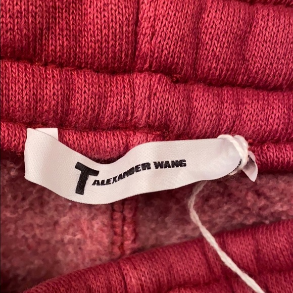 T Alexander Wang Burgundy Shorts - Picture 6 of 8